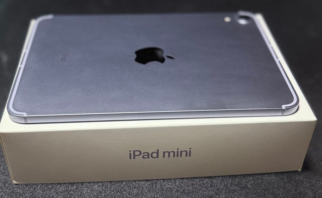 iPad mini 第6世代　Wi-Fi セルラーモデル　64GB 美品　87%