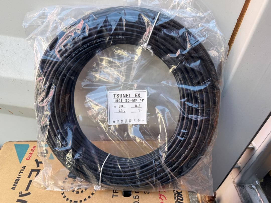 Cat6A 30m 黒色　10本　TSUNET(通信興業)