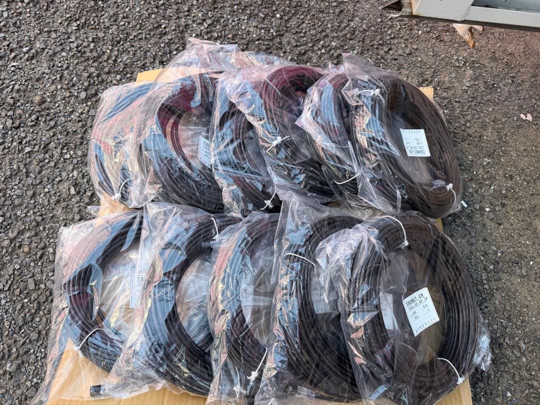 Cat6A 30m 黒色　10本　TSUNET(通信興業)