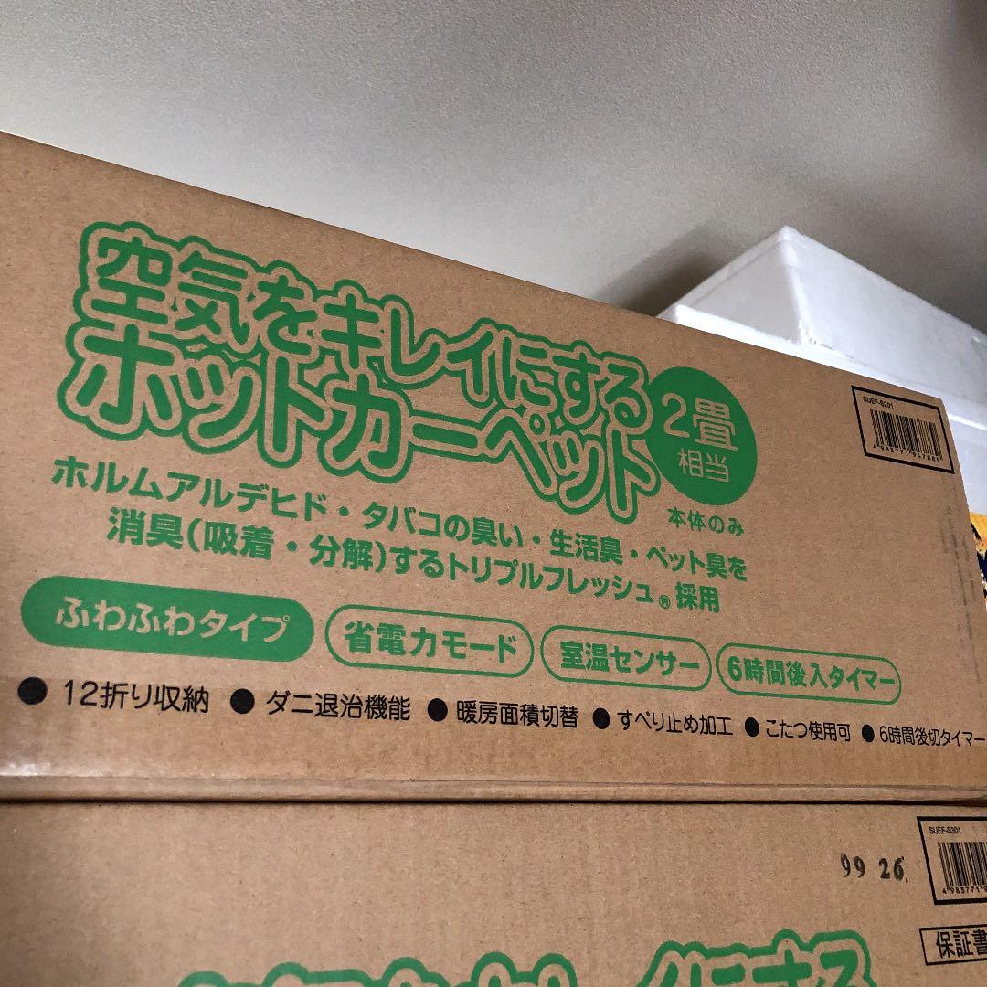 空気をきれいにするホットカーペット２畳