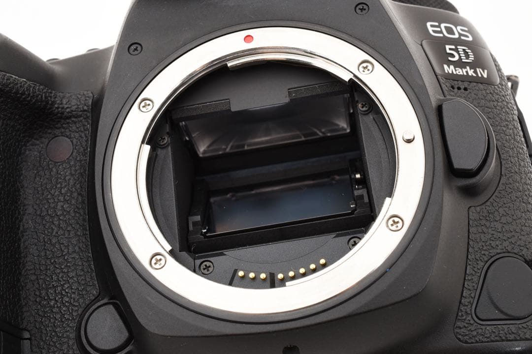 保証付き☆Canon EOS 5D Mark IV標準&望遠&単焦点レンズセット