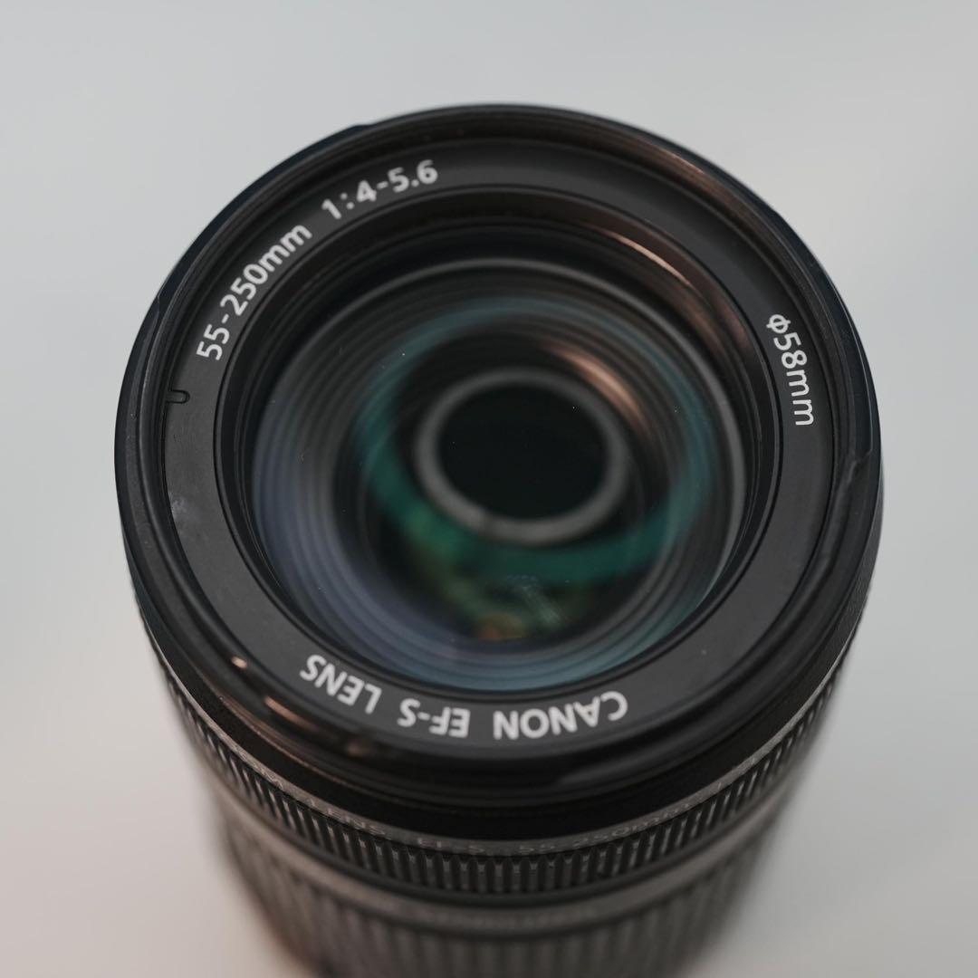 Canon純正 55-250mm 望遠レンズ a4696