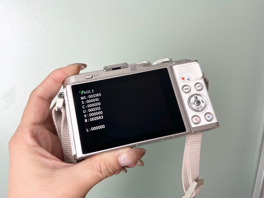 【 美品 】OLYMPUS PEN E-PL10 ホワイト ダブルズームキット
