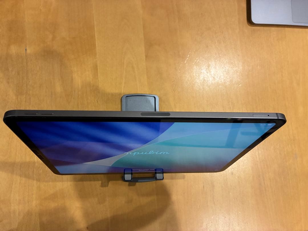 【ちゃっぴ様】iPad Pro 11インチ第4世代（M2） セルラー