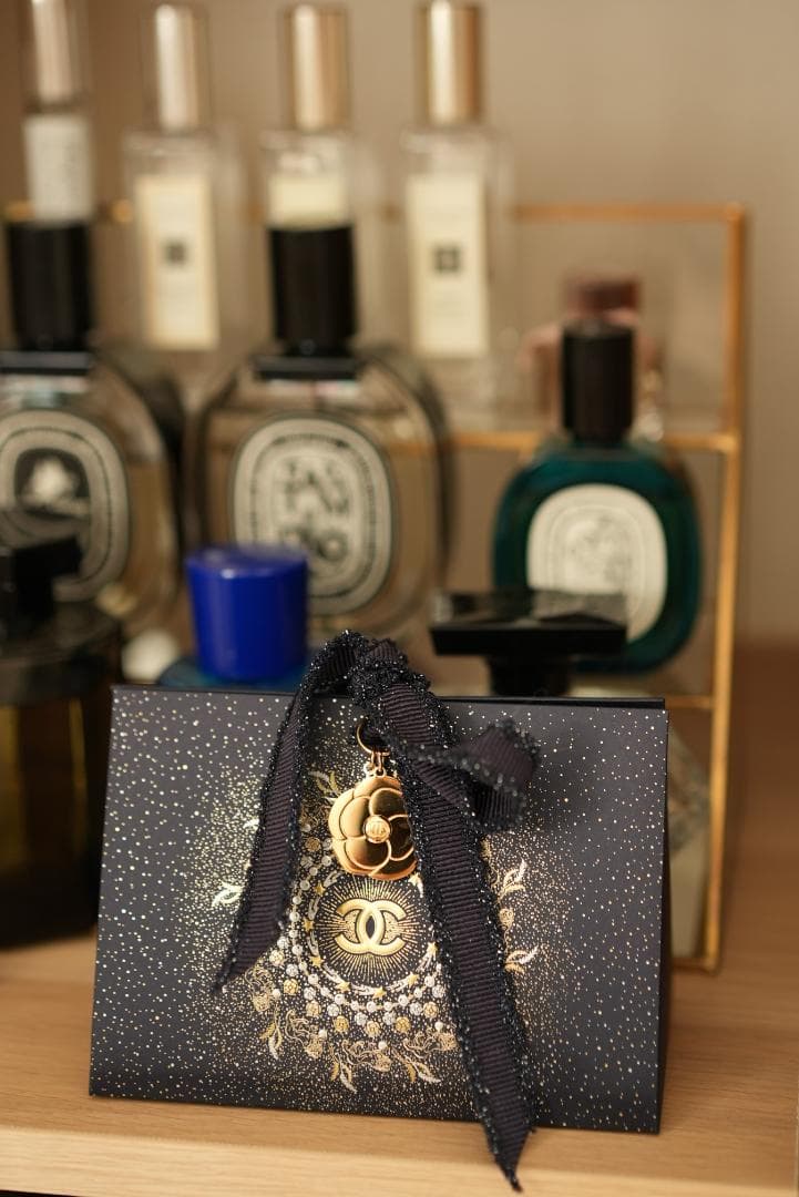 SONY ソニー Sonnar T* FE 55mm F1.8 ZA レンズ