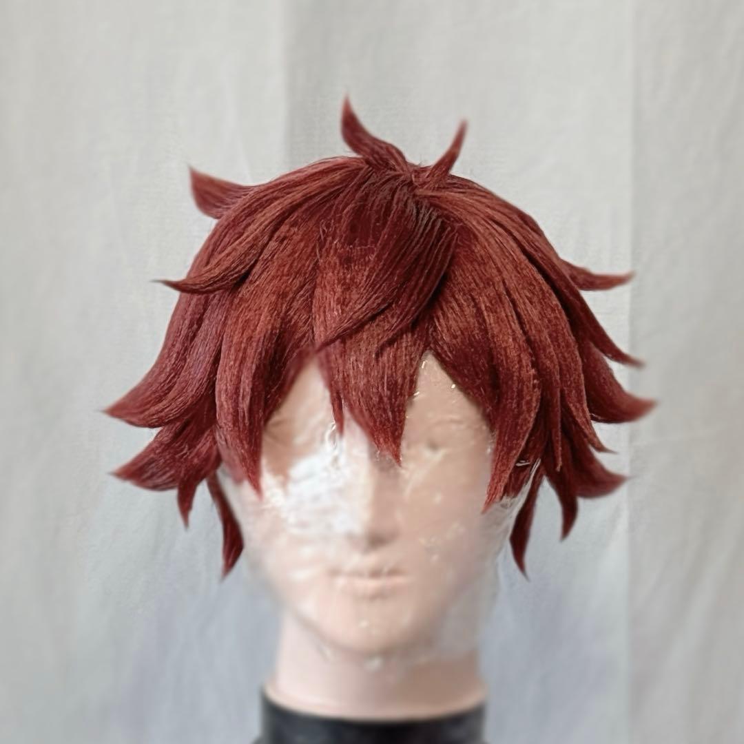 ツイステ コスプレ ウィッグ エース トラッポラ