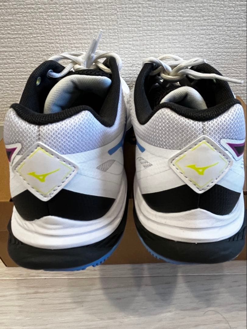 はちろー！ ミズノ　ウェーブファング