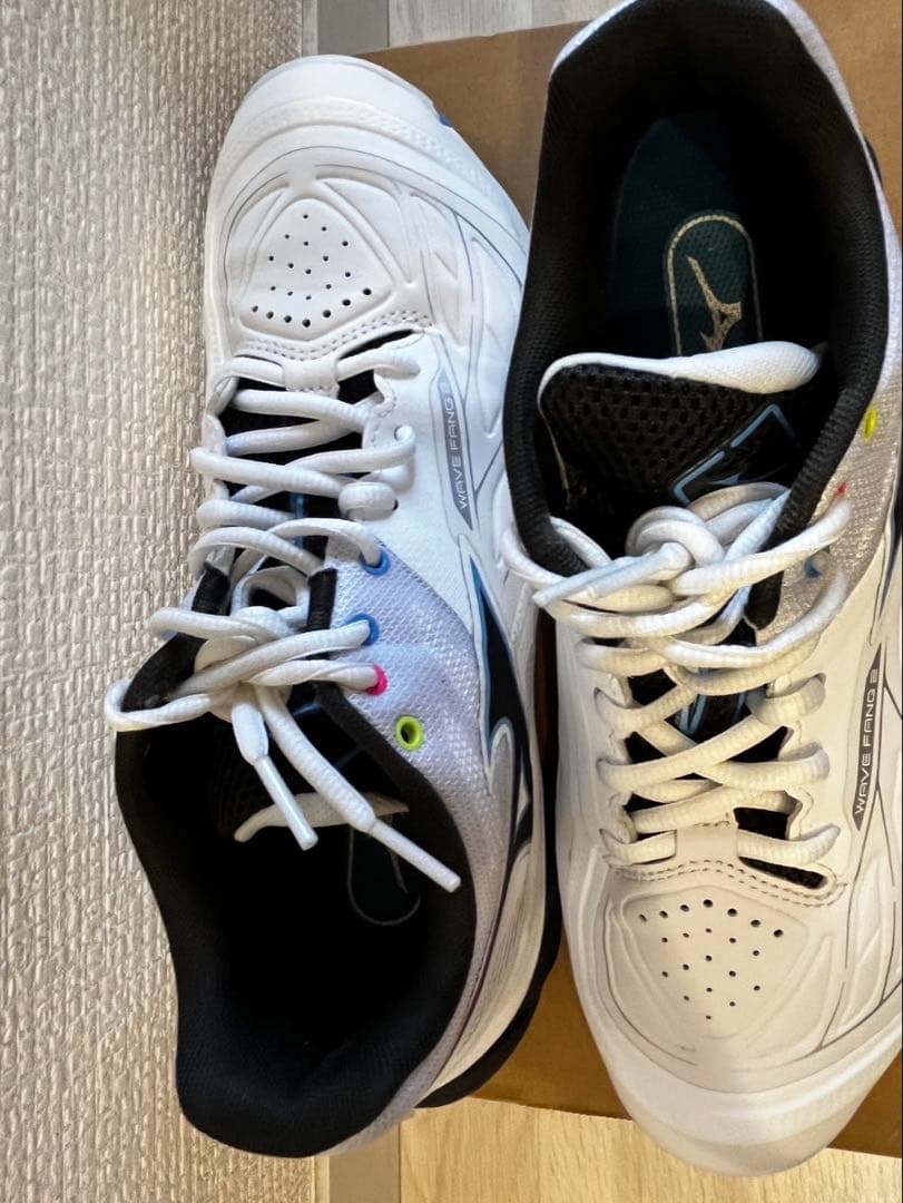 はちろー！ ミズノ　ウェーブファング