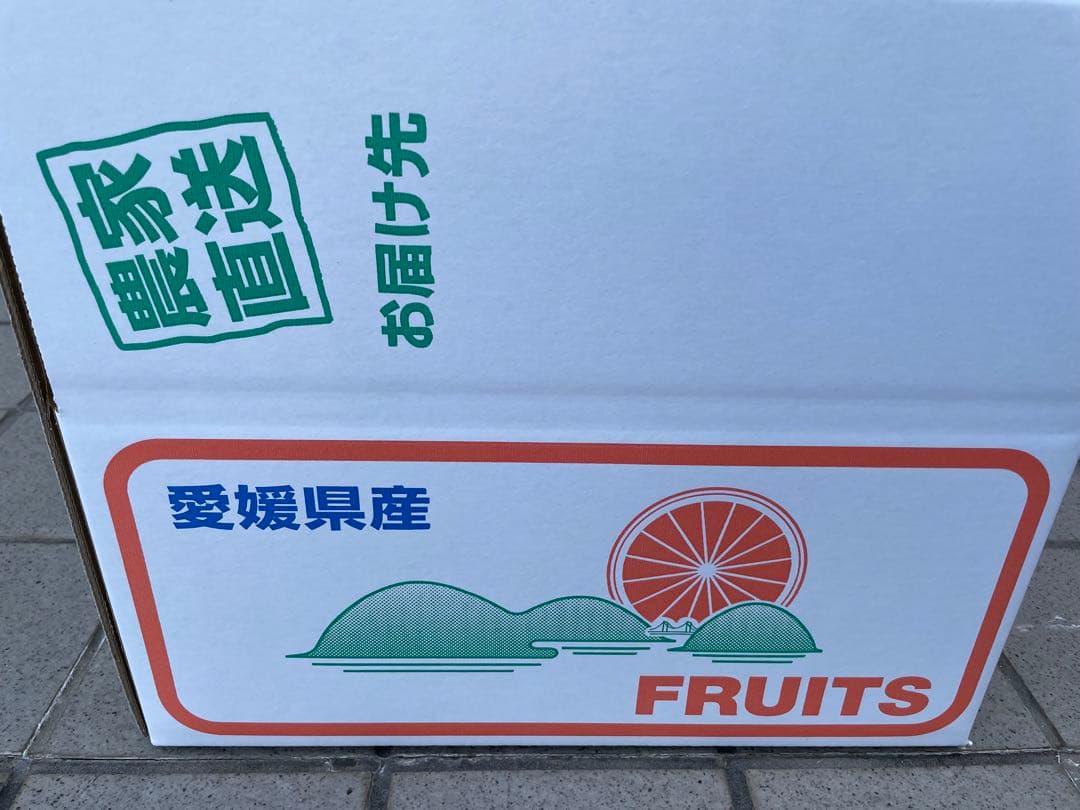 4 国産ベルガモットオレンジ果実香りが強い露地栽培約:9kgA品（一部B品含む）