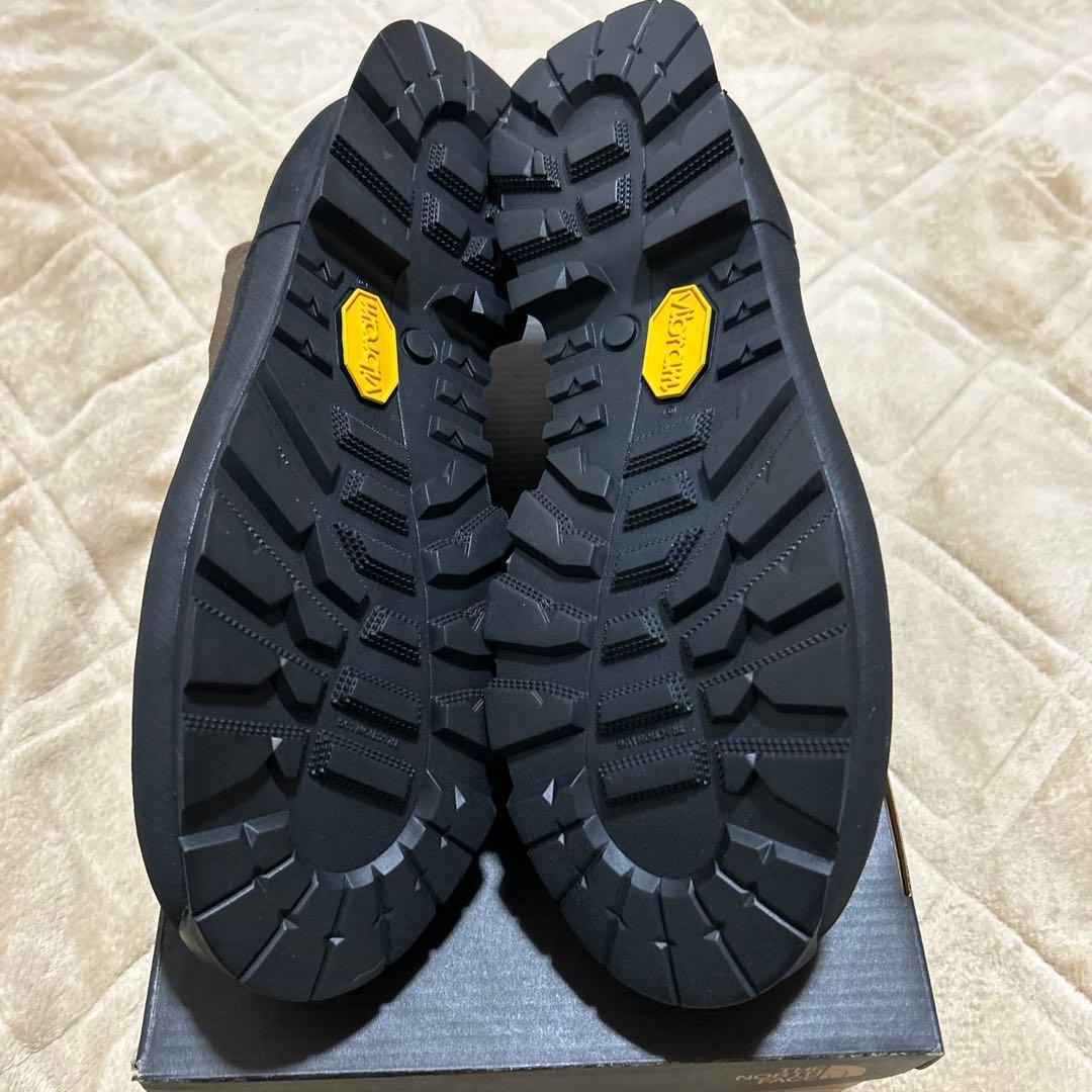 ノースフェイス TNF Rain Low GORE-TEX 29センチ