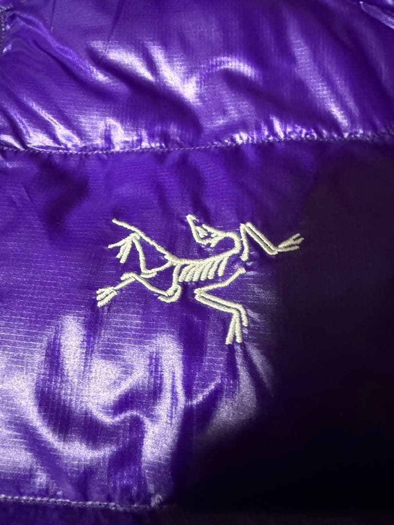 アークテリクス セリウムSVフーディメンズ - Azalea/L