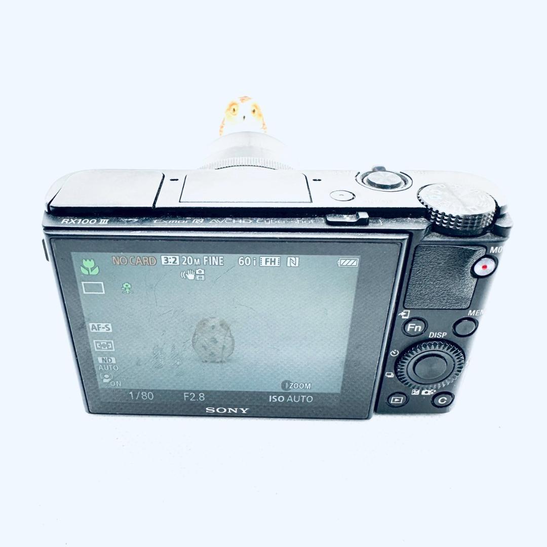 デジタルカメラ SONY Cyber-Shot DSC-RX100M3