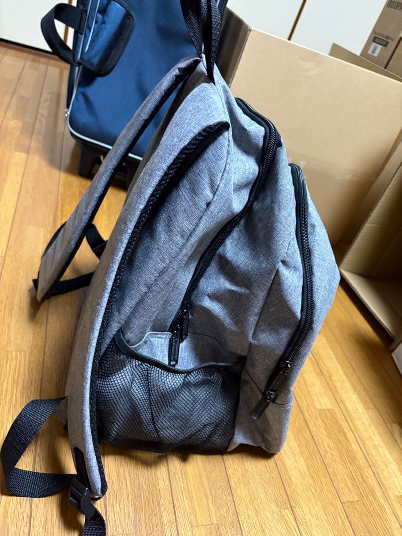 ブランズウィック ボール1個入れ リュック used