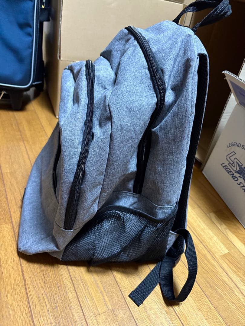 ブランズウィック ボール1個入れ リュック used