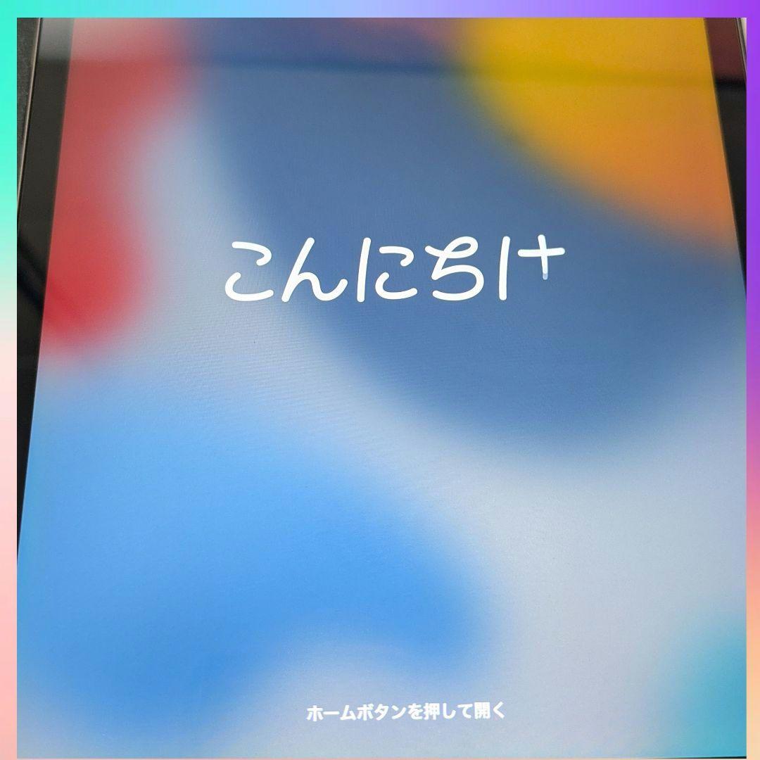 iPad本体 iPad mini4 WiFi-Cellular 128G