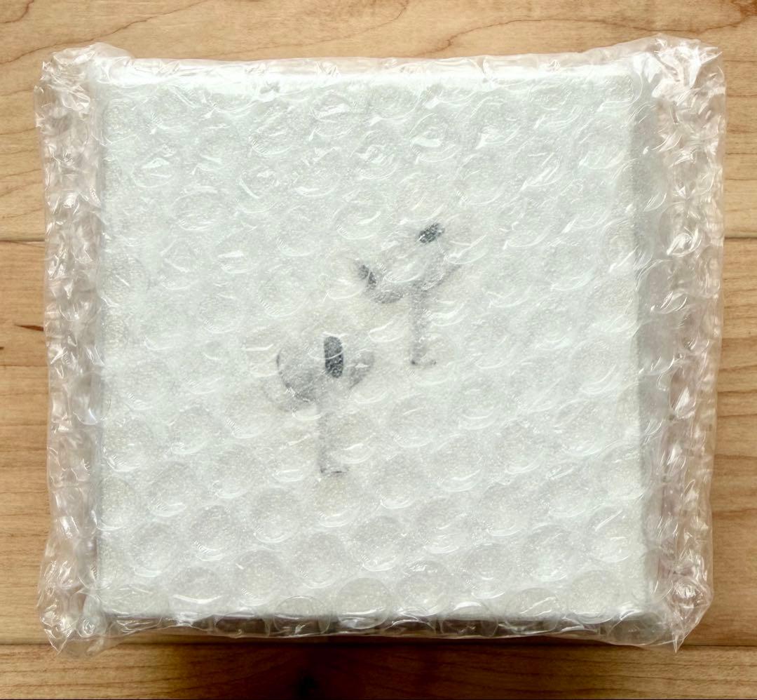 極美品❗️AirPods Pro (第2世代) USB-C充電ケース付き