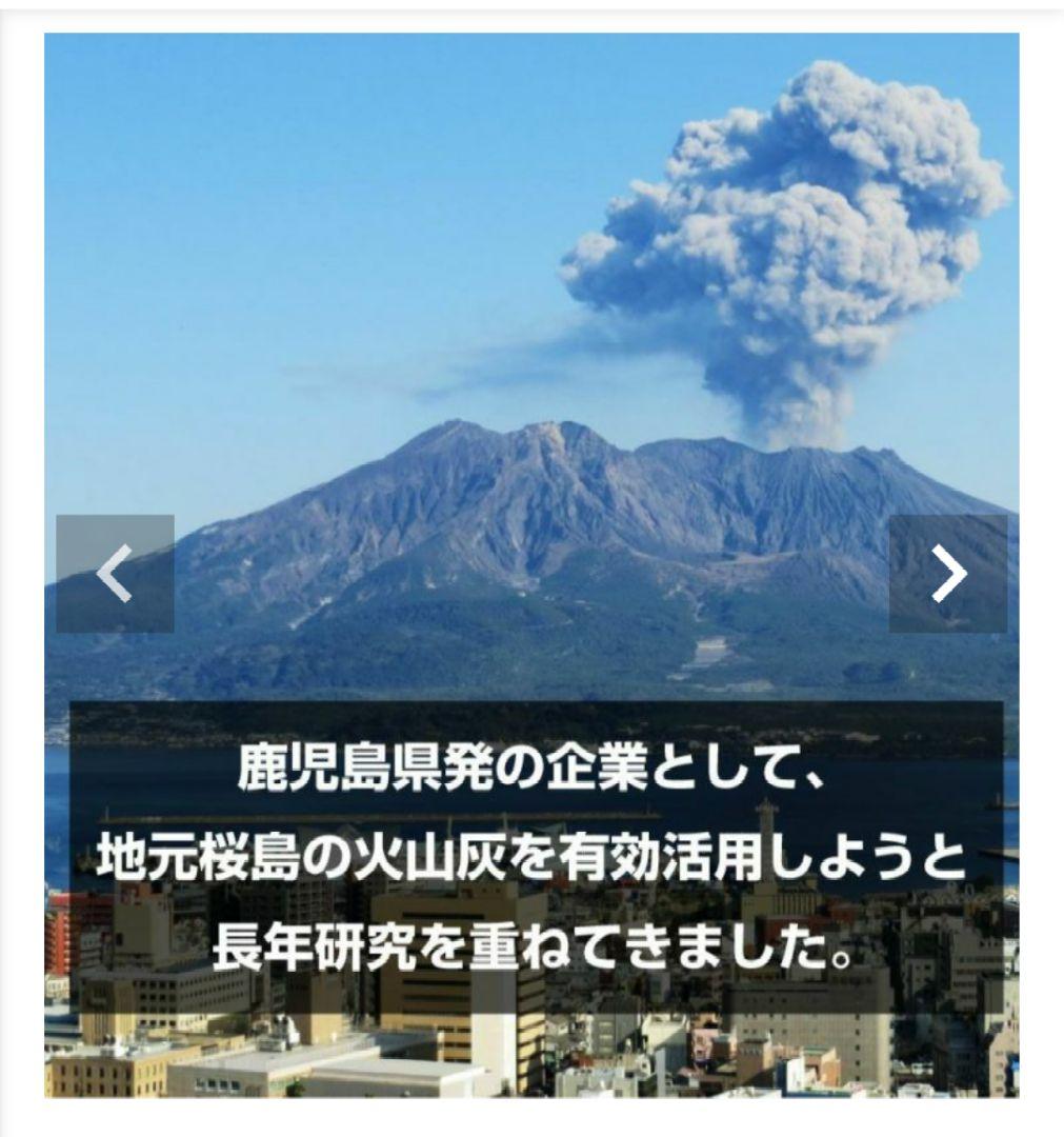 眠りの専門店my makuraマイマクラ マグマパワー あったか敷きパッド 花柄