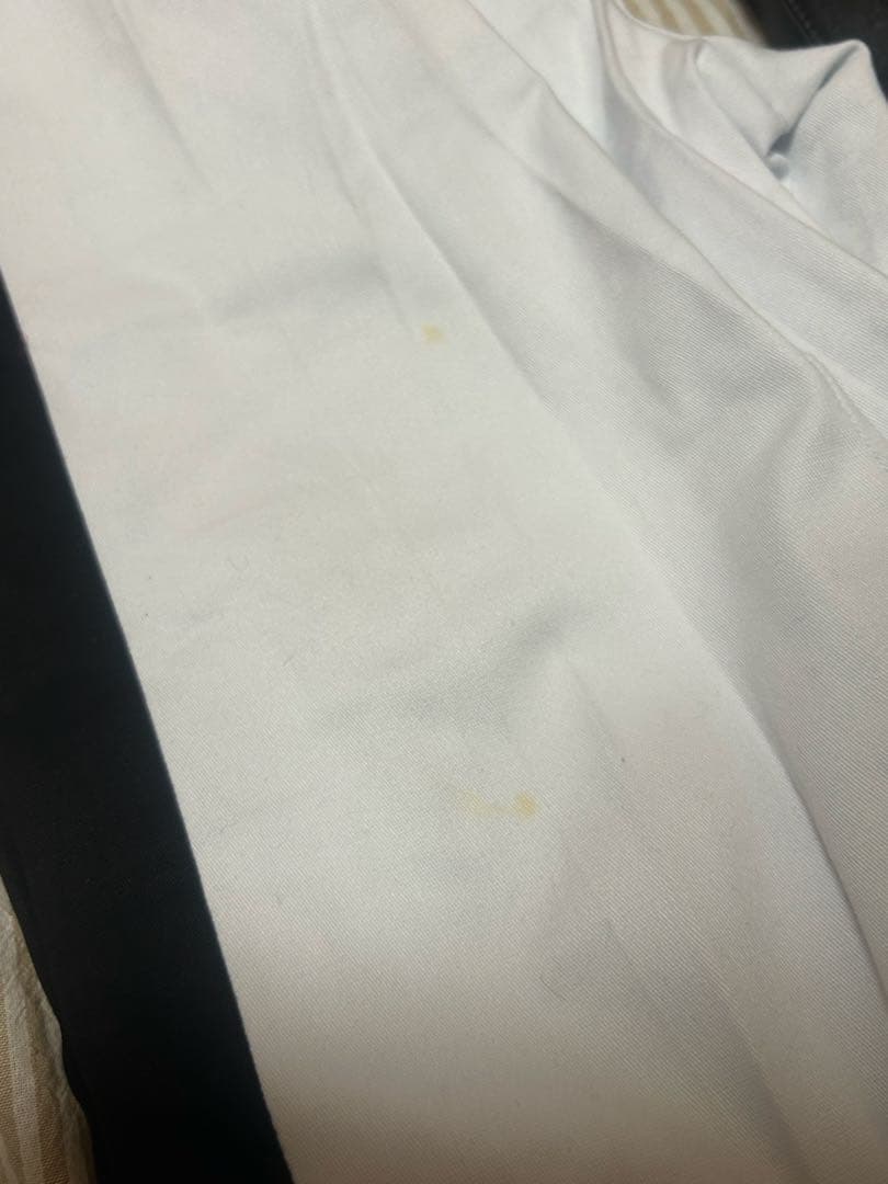 にじさんじ VOLTACTION セラフ・ダズルガーデン コスプレ 衣装