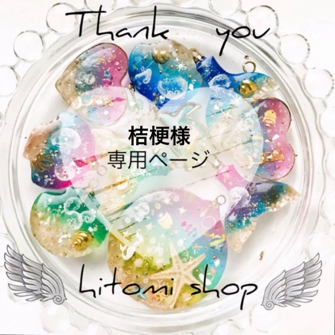 桔梗ページ 14点