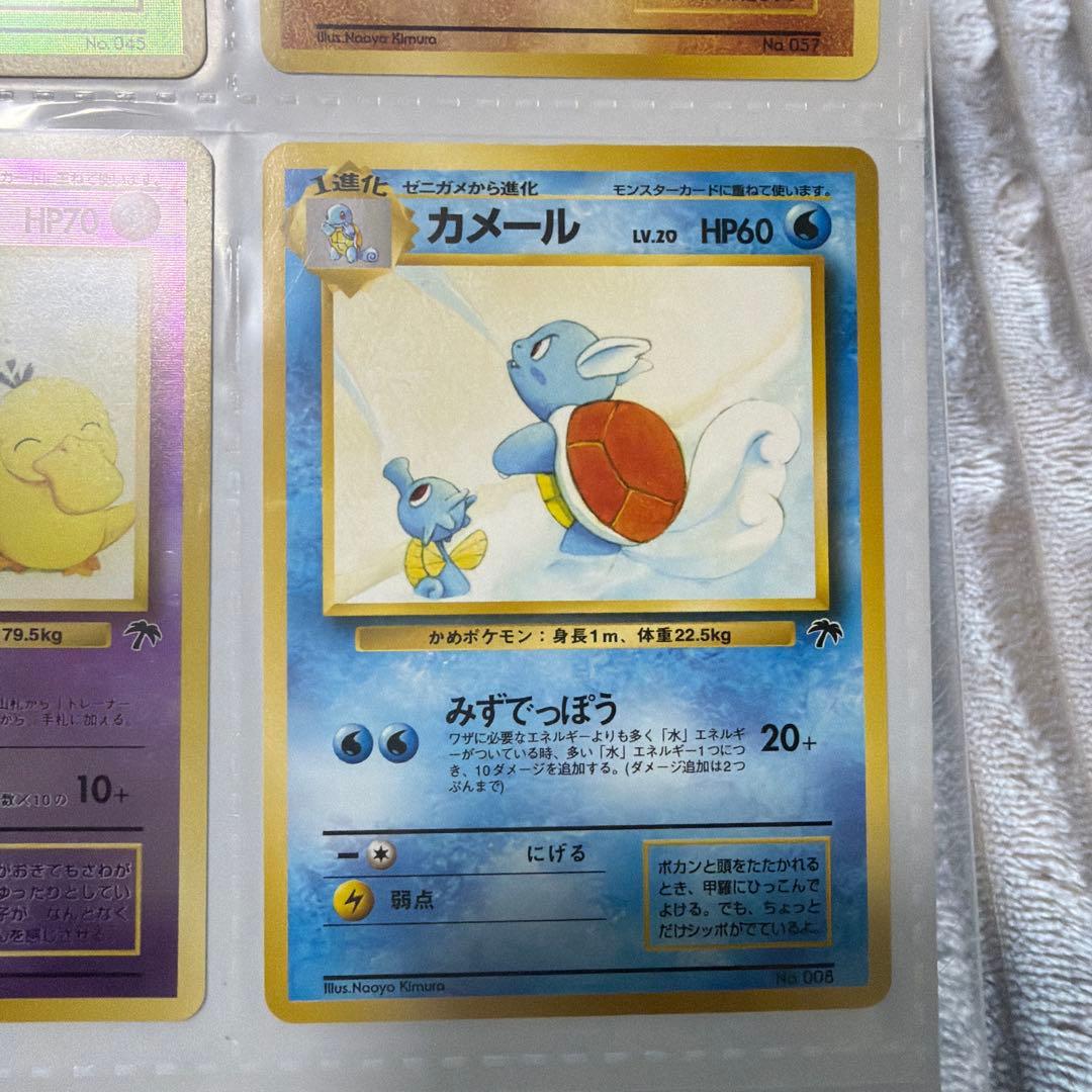 ポケモンカード サザンアイランド　トロピカルアイランド　旧裏　セットファイル