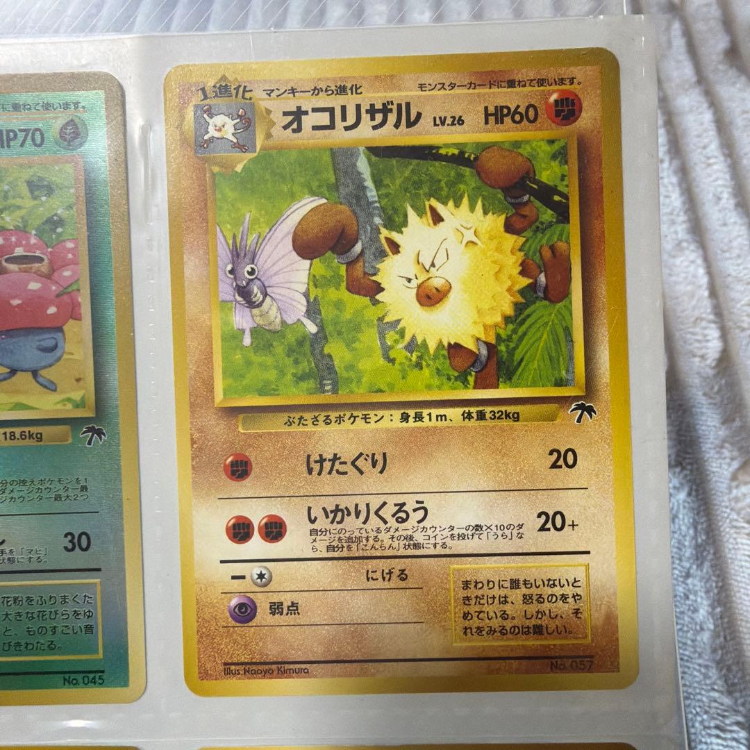 ポケモンカード サザンアイランド　トロピカルアイランド　旧裏　セットファイル