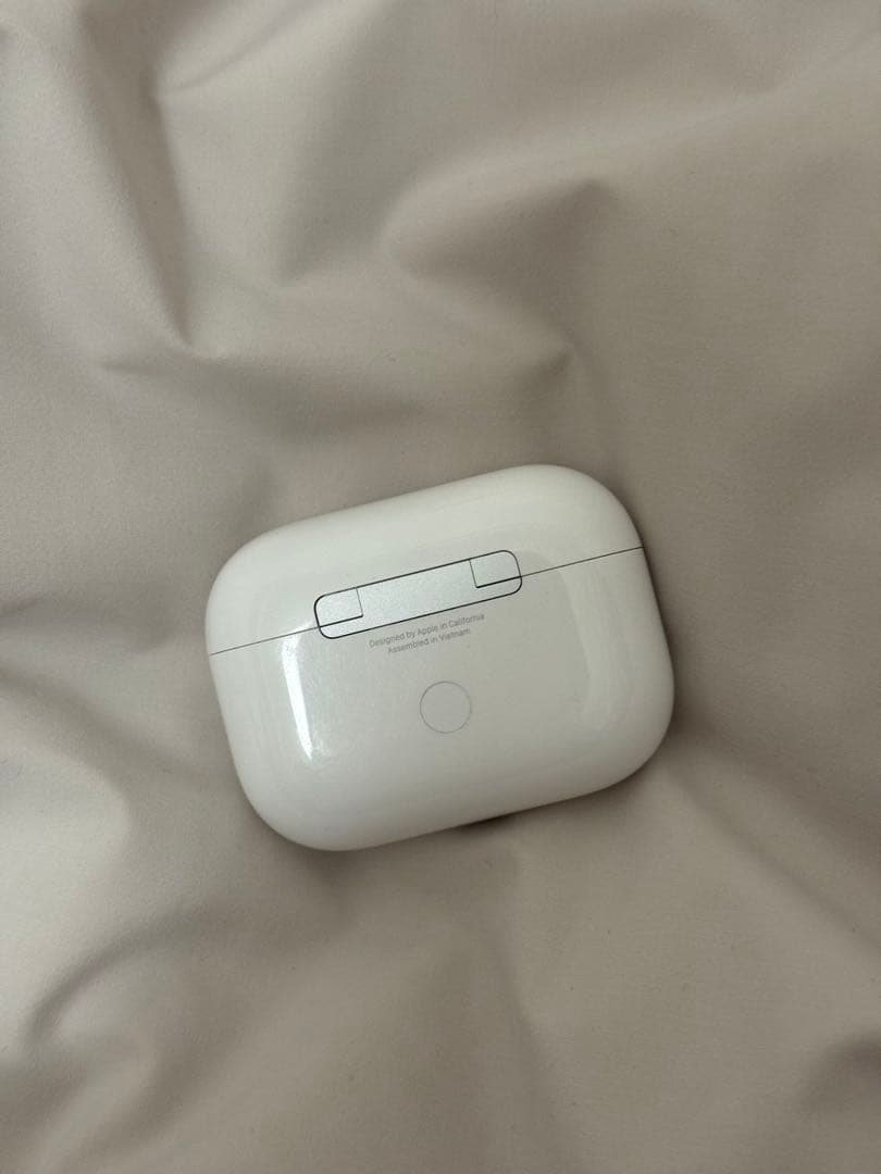 AirPods Pro 2 (Type-C)犬の彫刻付き