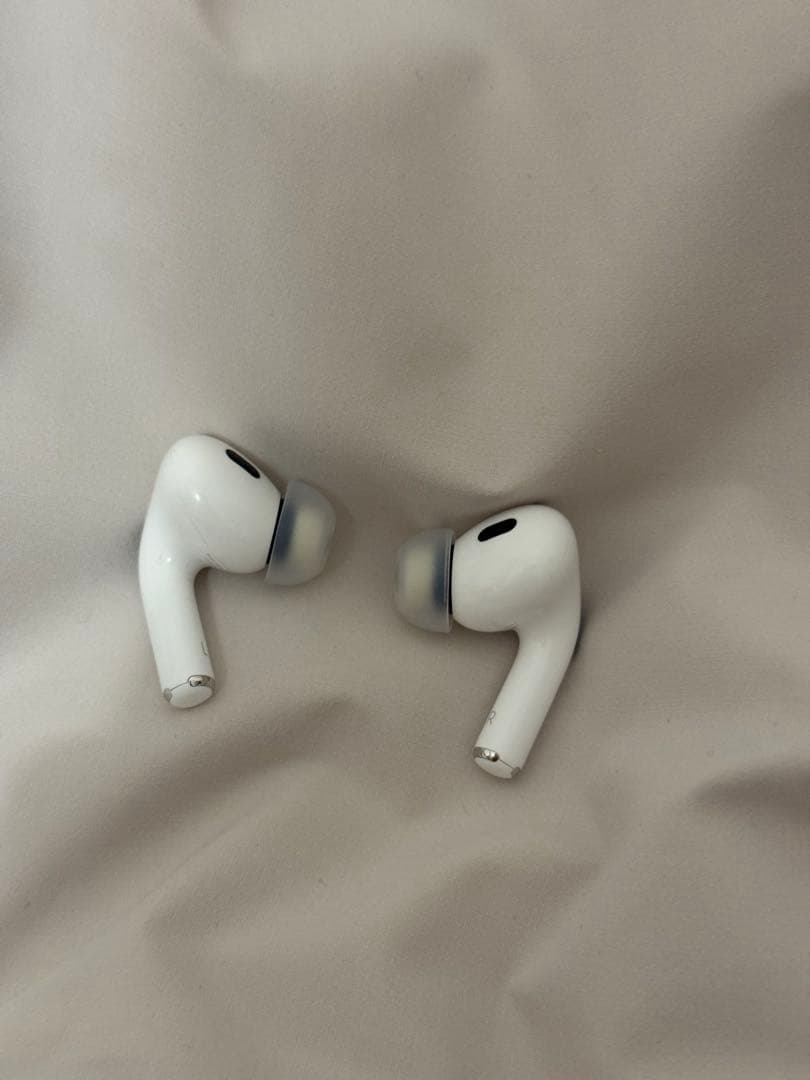AirPods Pro 2 (Type-C)犬の彫刻付き