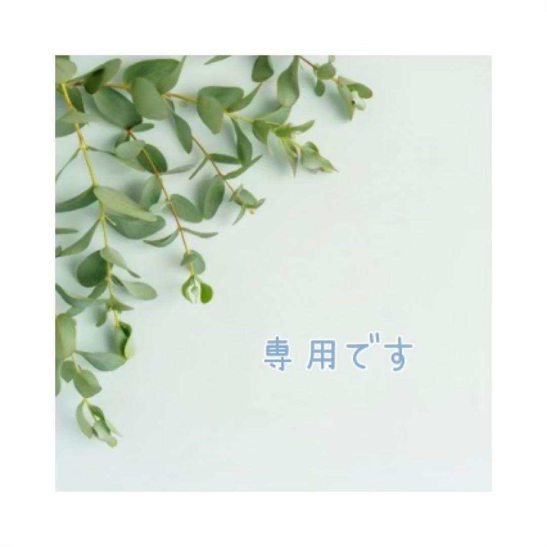 じぇいRさま専用です