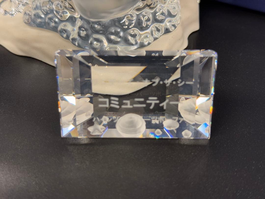 スワロフスキー 2007年 ワンダー・オブ・ザ・シー コミュニティー SCS限定