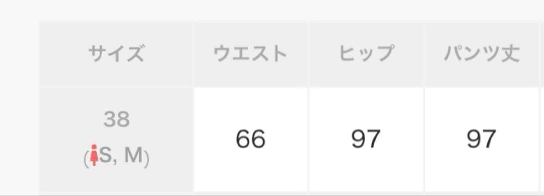 ウィムガゼットMarisolコラボキュプラフィブリルカーゴパンツ
