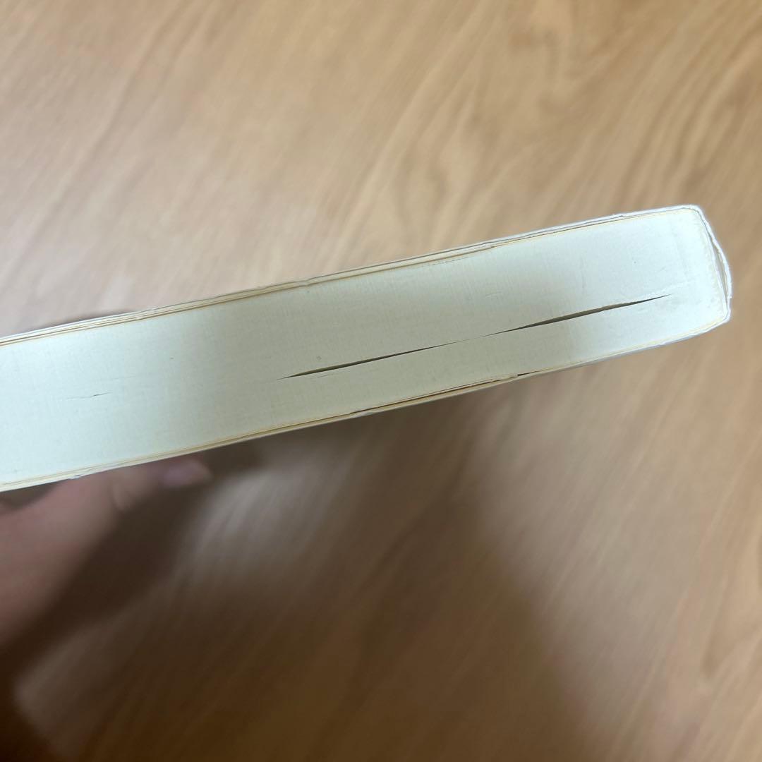 超スピリチュアルな夢実現/幸福獲得法 : 振り子の法則トランサーフィン