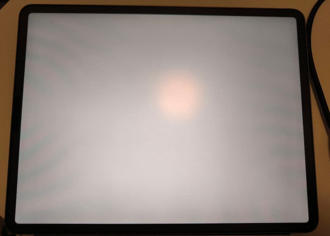 し*ん様 iPad Pro 第3世代 12.9インチ 256gb WiFiモデル