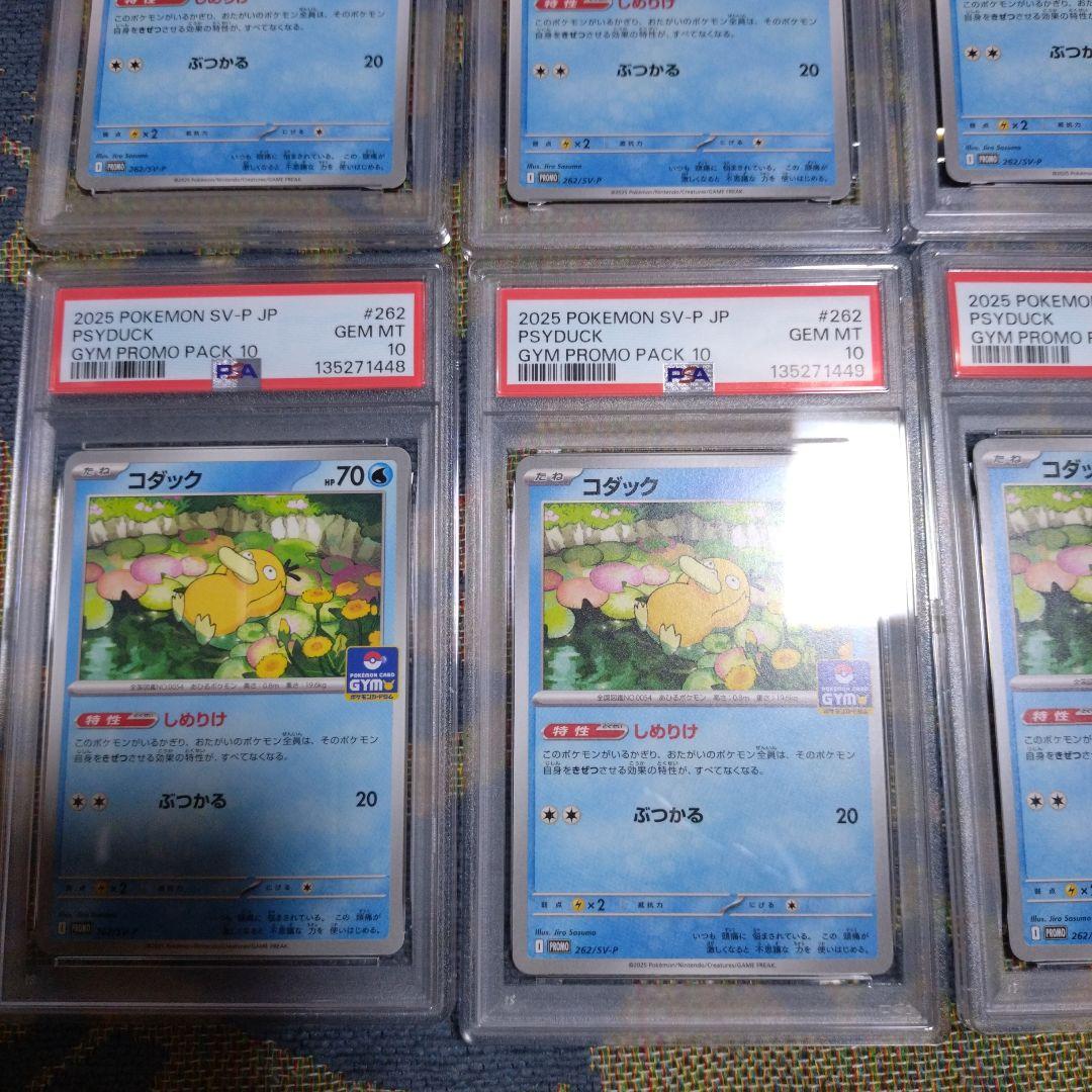 【PSA10】コダック しめりけ 262/SV-P ジムプロモ 8枚 連番