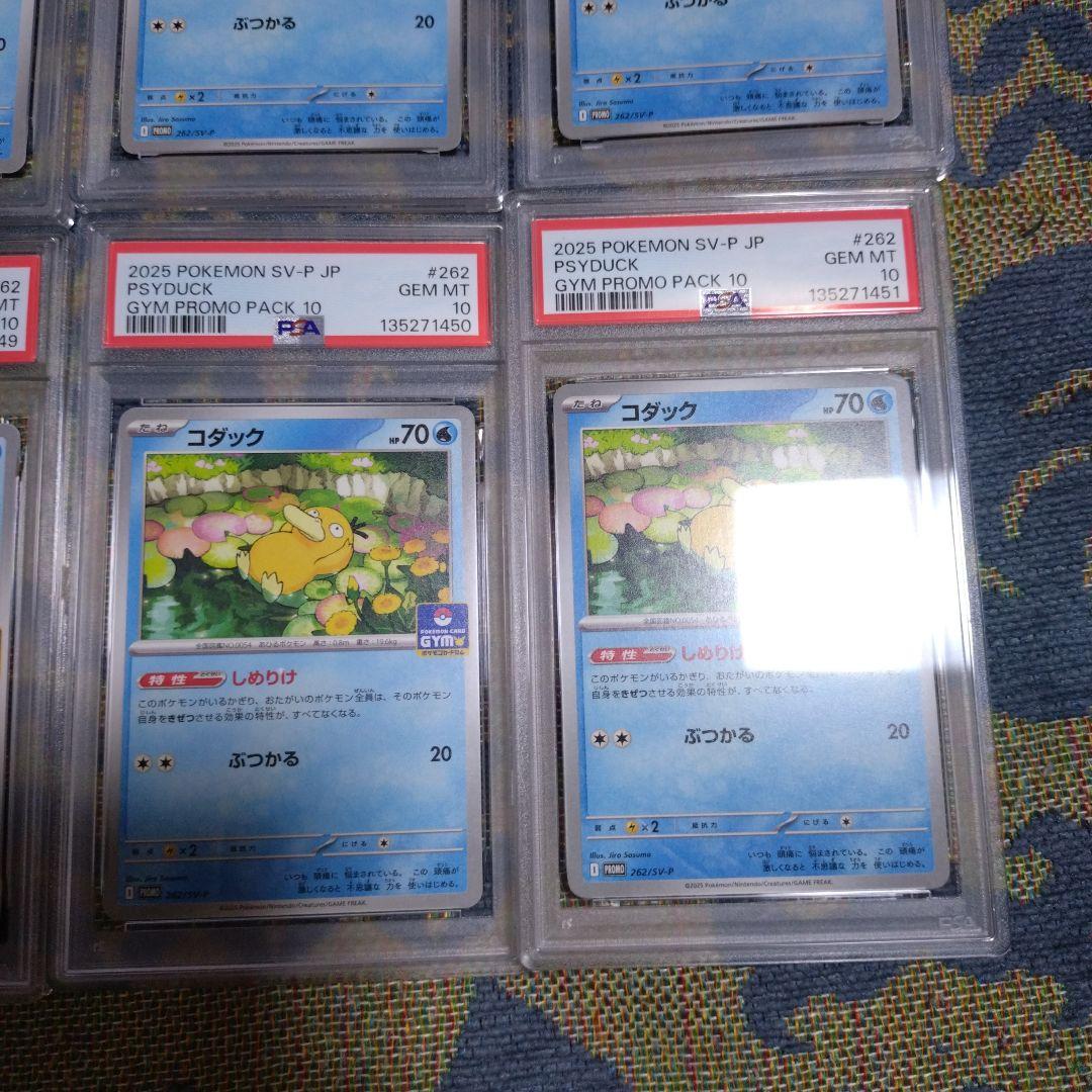 【PSA10】コダック しめりけ 262/SV-P ジムプロモ 8枚 連番