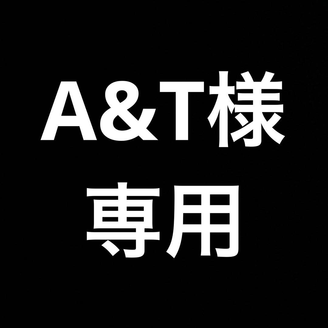 その他 A&T
