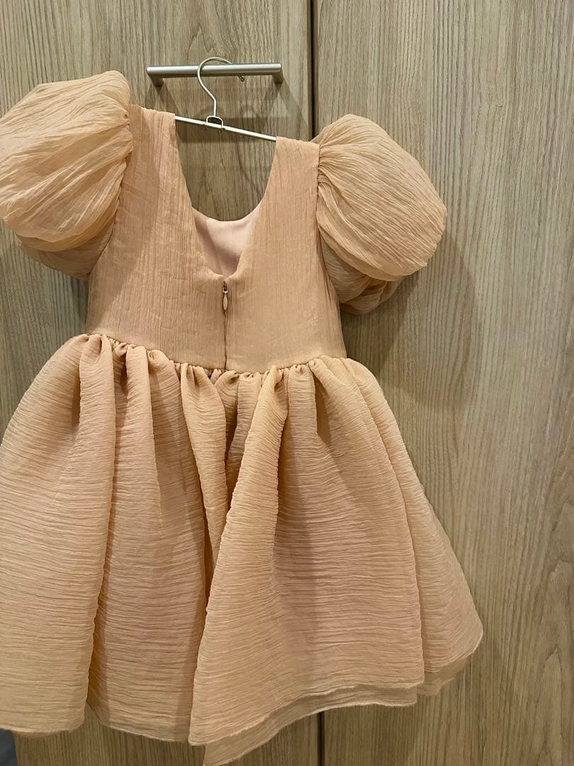 ノラリー　Noralee SOFIA DRESS BLUSH