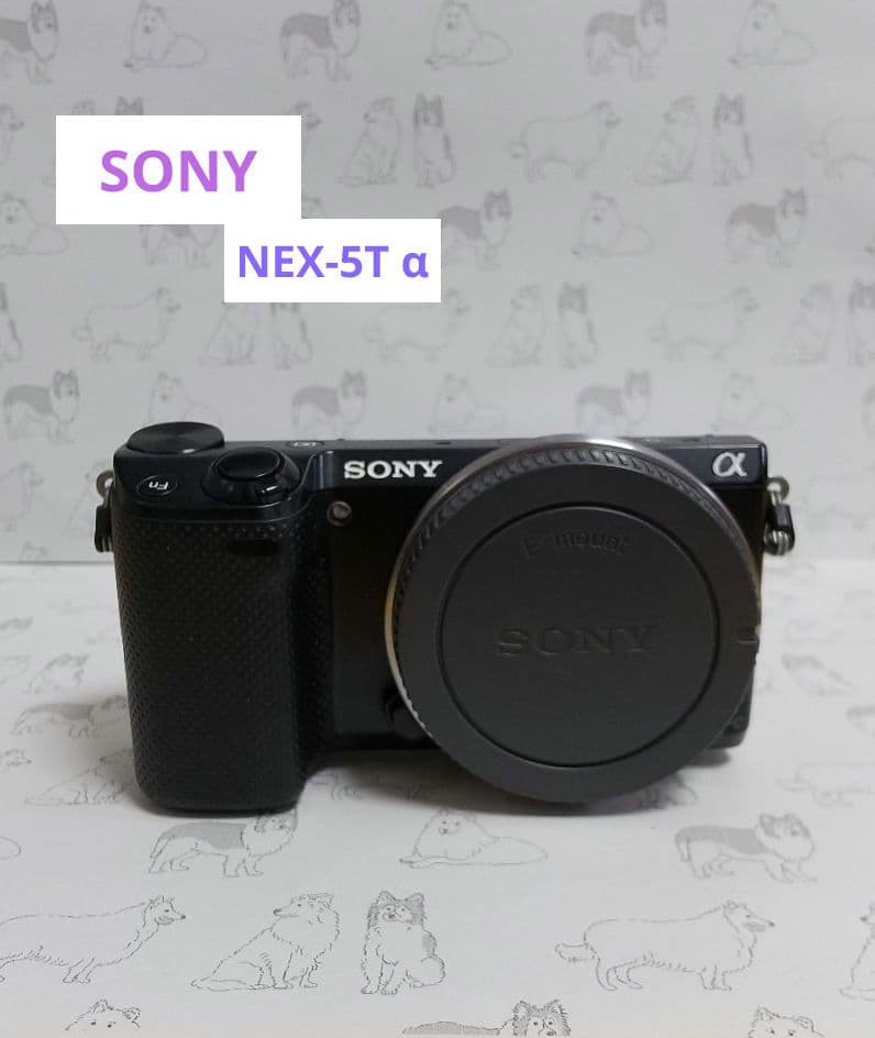 【RS78】SONY NEX-5T α デジカメ 本体