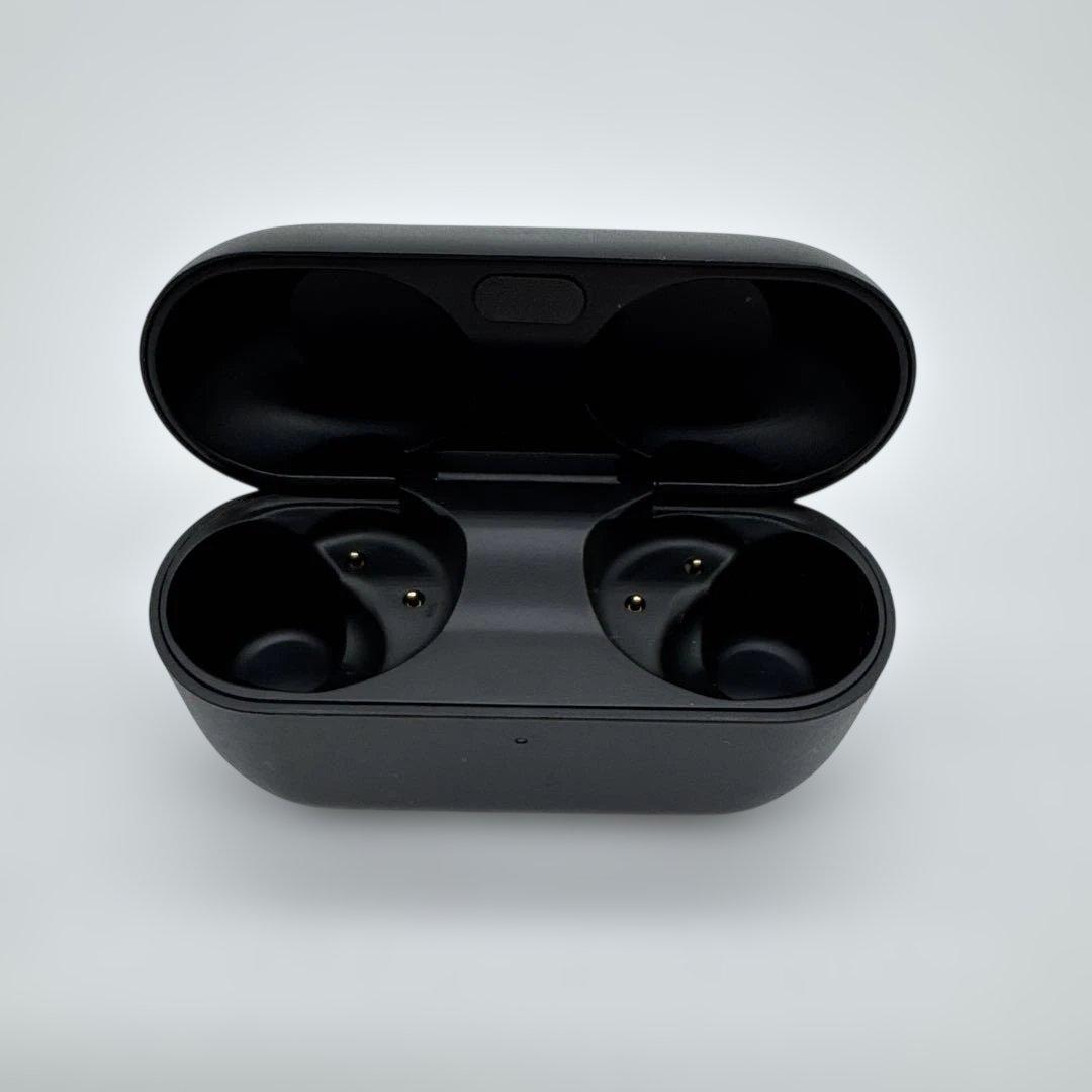 イヤホン Technics EAH-AZ100 Black