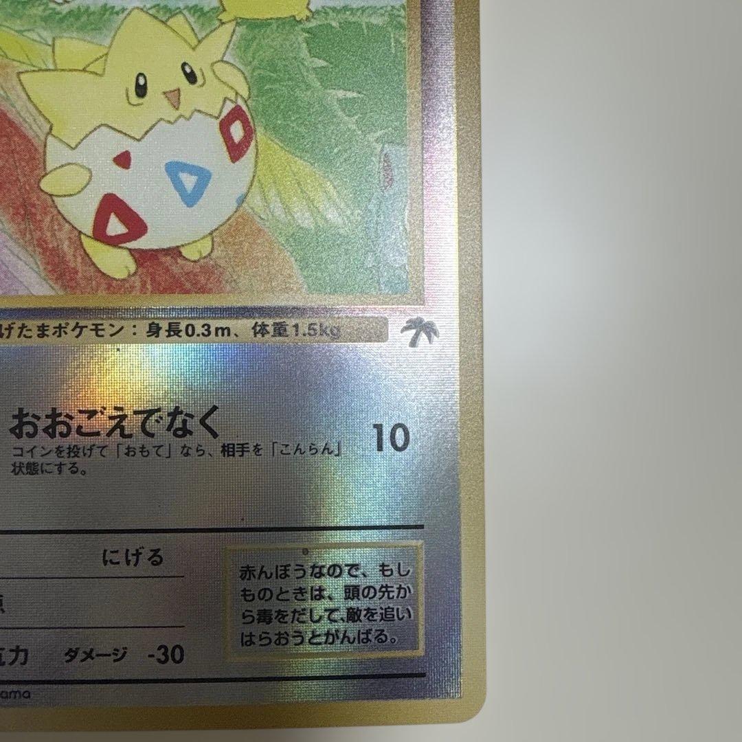 サザンアイランド　川辺　旧裏ポケモンカード ポストカードなし