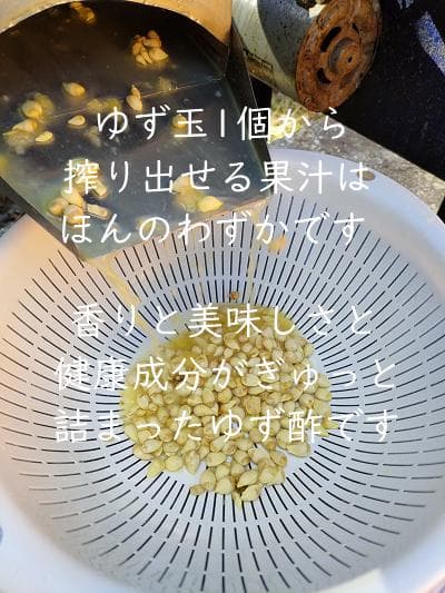 柚のや★送料込★高知県産ゆず酢900ml 6本 熟しぼり★農薬不使用★柚子酢