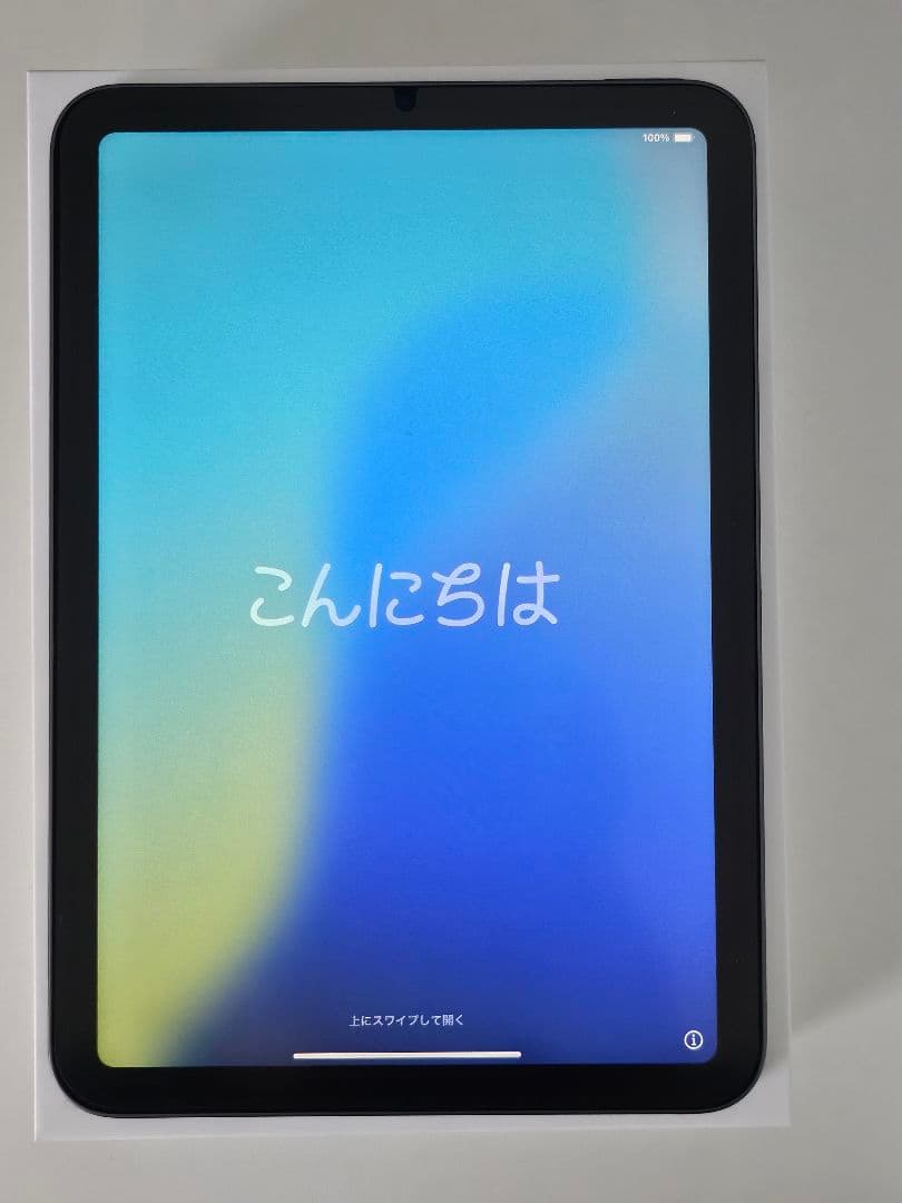 iPad mini (第6世代)256GBApple Pencil (第2世代)