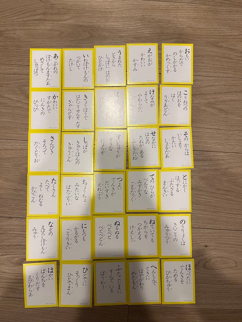 レア　ポケットモンスター　かるた　初代　赤青緑　金銀　ポケモン　当時物