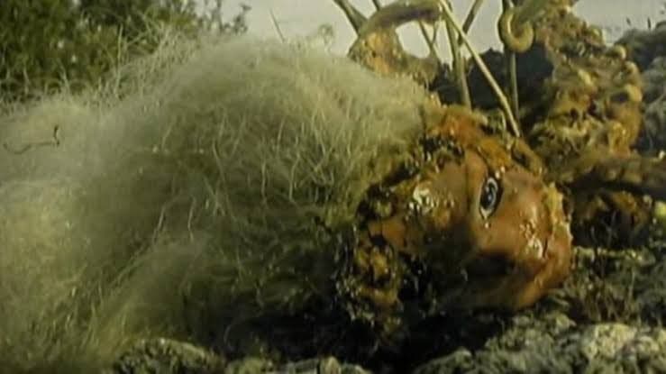 【廃盤】Melancholie der Engel DVD　ホラー グロテスク