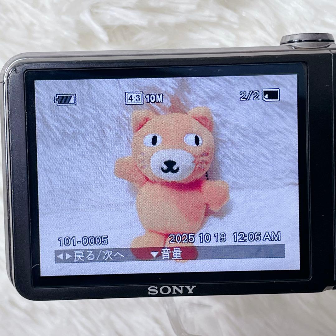 【✨動作品✨】SONY DSC-HX5V【✨バッテリー付き✨】