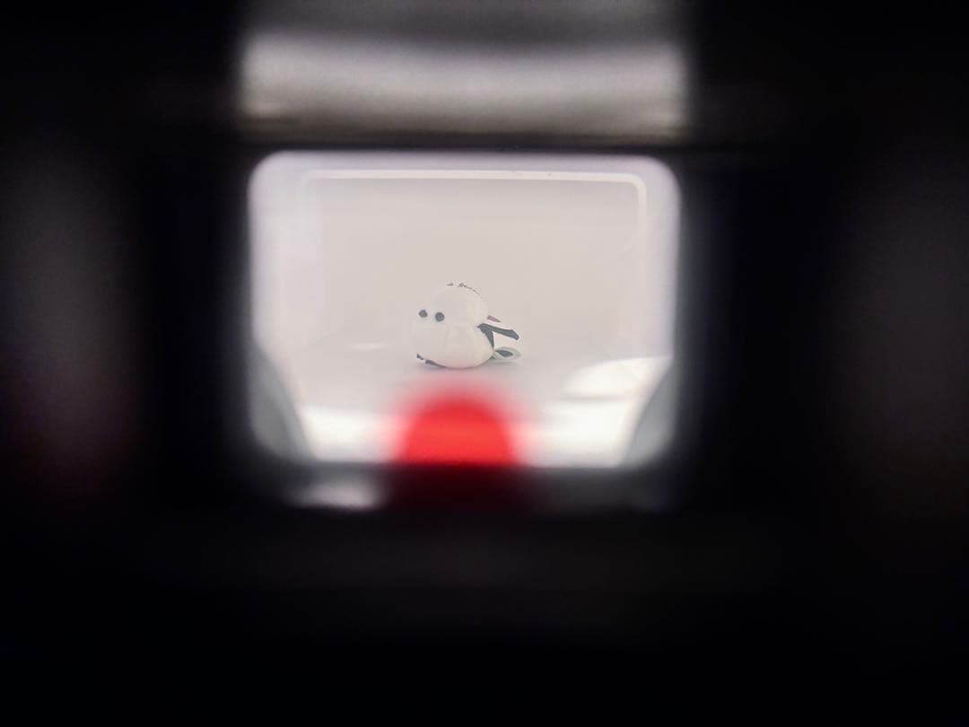 【動作品】OLYMPUS XA1 A9M付　コンパクトフィルムカメラ 外観美品