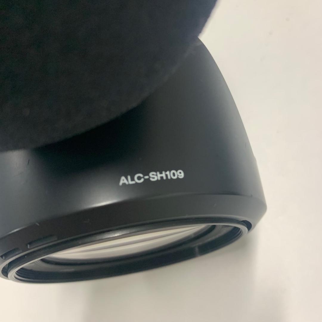 SONY ビデオカメラ本体　NEX-VG10　レンズ　SEL18200