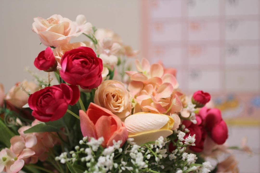 Canon EF50mm f/2.5 コンパクトマクロ標準固定レンズ #4188