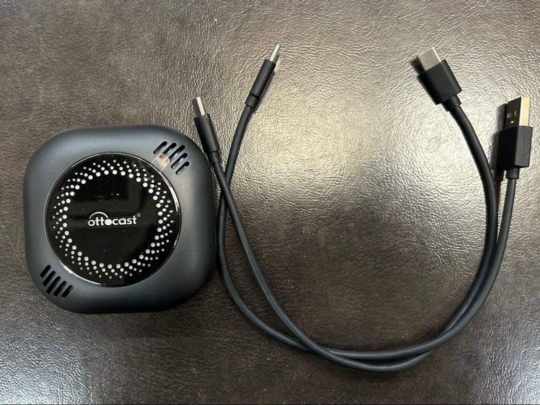 プリン様　Ottocast PICASOU 2