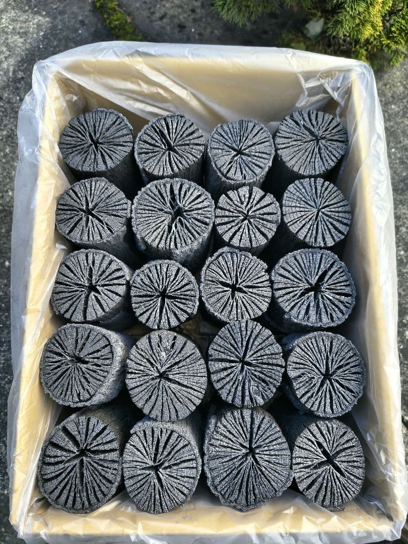 【愛媛産】クヌギ炉用胴炭約5kg 皮剥がれ