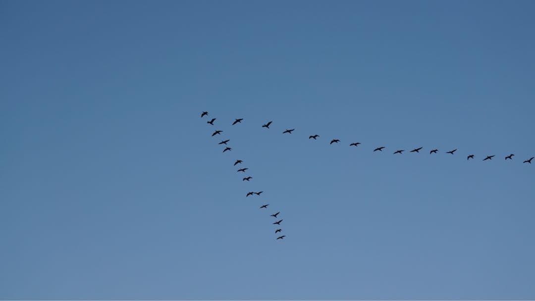 SONY SEL55210 ズームレンズ